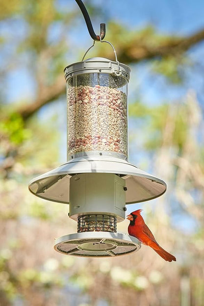 AUTOFEEDER Bird Feeder, Programmable, Automatic Time Released, Battery-Powered, Removable Lid, Squirrel Proof, Weather Resistant, 360 Degree Perch, Large Capacity - Classic Green