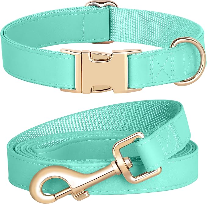 PET ARTIST Soft PU Leather Dog Collar and Leash Set, Bright & Stylish 5FT PU Leather Leash and Collar Set, Durable Pet Collars with Quick Release Metal Buckle for Medium Dogs,Mint Green,M(13-19")