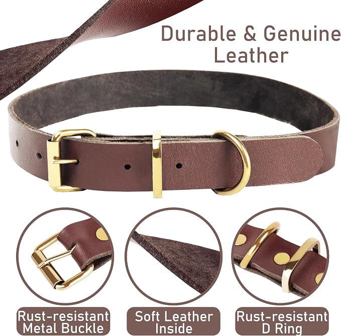Heavy Duty Genuine Leather Dog Collar and Leash Set - 5ft Soft and Durable With Metal Buckle - Adjustable, Compatible for Large Dogs