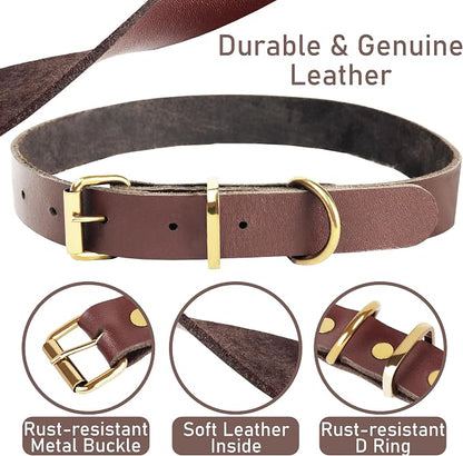 Heavy Duty Genuine Leather Dog Collar and Leash Set - 5ft Soft and Durable With Metal Buckle - Adjustable, Compatible for Large Dogs