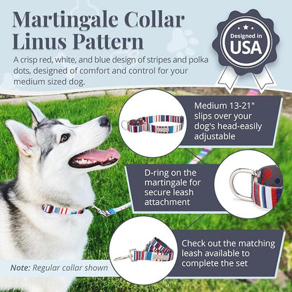 Lucky Love Dog - Adjustable Dog Collar with Easy Click Buckle for Medium, Durable, & Comfortable for Male & Female Dogs, Pet Collar for Puppies & Adult Dogs - Linus Martingale, Medium