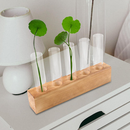 minkissy Hydroponic Plant Vase Glass Planter with 5-Hole Wooden Stand for Indoor Desktop Terrarium and Plant Propagation Home Office Décor