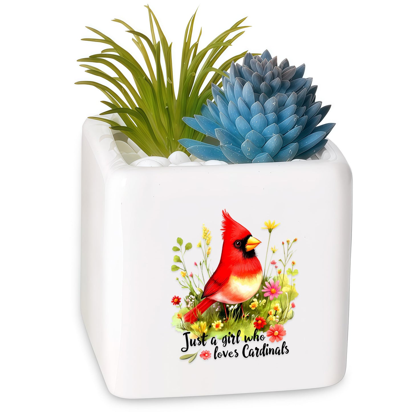 BJDAMAI Cardinal Succulent Planter Flower Plant Pot Small, Gifts for Women Teens Girls Kids, Cardinal Lovers Themed Stuff Accessories Things Decor Merch, Home Office Table Desk Decoration!