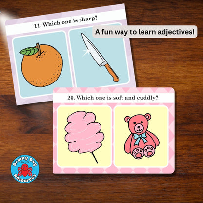 Brainy Bug Resources Verbal Reasoning Language Flash Cards for Kids | Q&A Learning Deck for ESL, Home Schooling & Special Needs | Parent and Professional Use