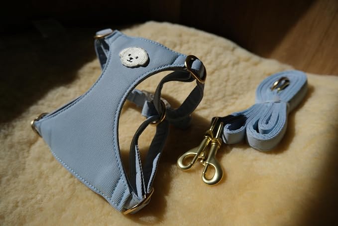 AetruffyPet 100% Cotton Dog Harness and Leash Set – Soft Breathable Vest for Small Dogs, Adjustable No-Choke Design, Lightweight Walking Set (XS/S/M) (Blue, S)