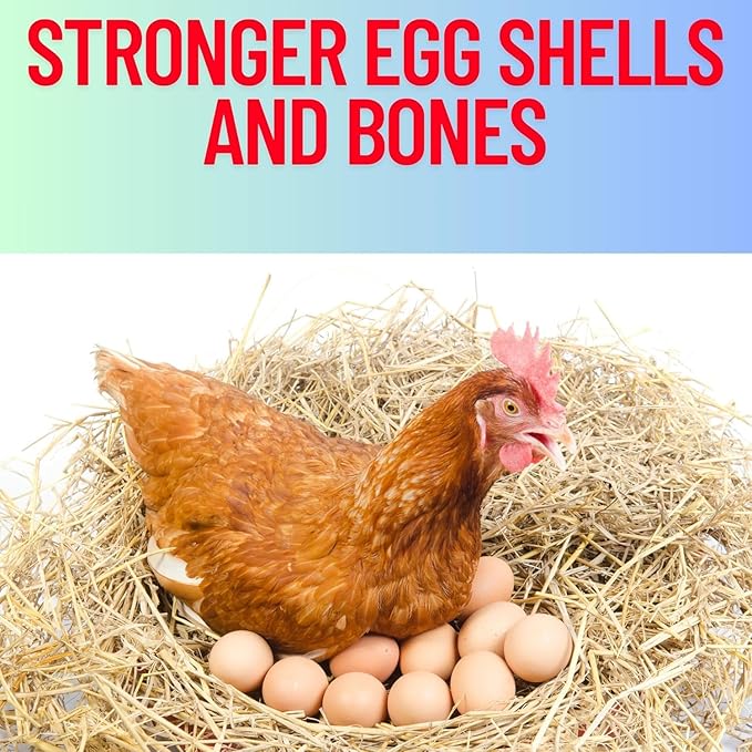 RedStones Grit Minerals, High Calcium Supplement, Designed to Promote Strong Bones, Better Digestion, and Overall Well-Being for Pigeons, Small Cage Birds, Duck and Chickens 3 Pounds Bag