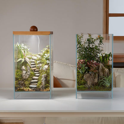 13.7H+7.8W Desktop Glass Plant Terrarium with Light, Large Propagation Station for Succulent, Moss, Miniature Gardening Landscape, Betta Fish Tank
