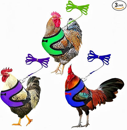 3 Pack Chicken Harness and Leash Set Adjustable Hen Vest with Matching Belt Breathable Mesh Training Harness Pets Leash for Hens Duck Goose Small Pet-Green&Purple&Blue,M