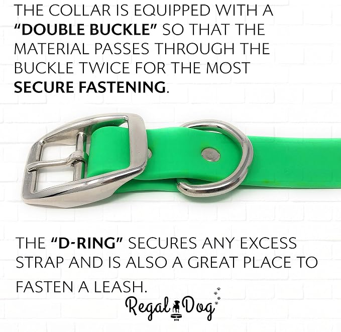 Regal Dog Products Medium Light Green Waterproof Dog Collar and Leash Set | Heavy Duty Double Buckle & D Ring - 5'ft Leash | Adjustable Biothane Dog Collar | Chew Resistant Waterproof Collar for Dogs