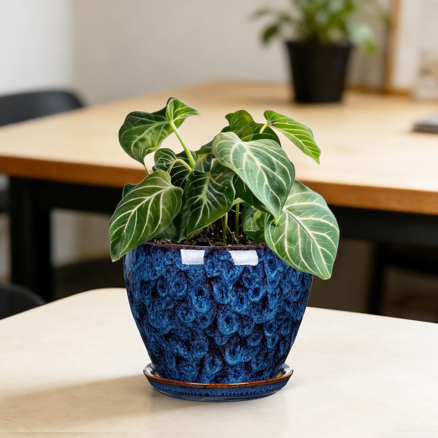 Hollyone Ceramic Planter Blue Ceramic Plant Pot for Plants Flowers 5.5 inch with Drainage Hole and Saucers Ceramic Glaze Round Flower Plant Pot for Indoor Outdoor Round Succulent Orchid Flower Pot