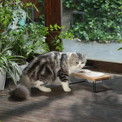 FUKUMARU Elevated Cat Ceramic Bowls, Small Dog Raised Food Feeding Dishes, Solid Wood Water Stand Feeder Set for Cats and Puppy