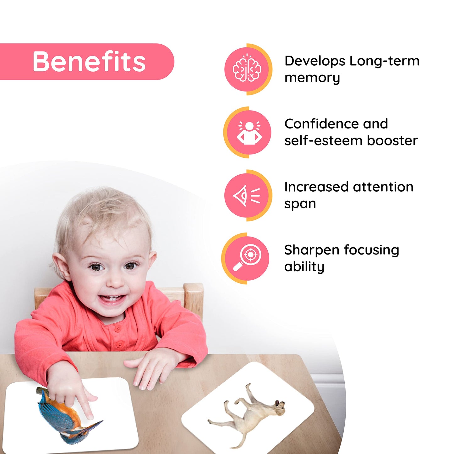 Hungry Brain High Contrast Baby Flash Cards for Newborns 0-12 Months | 240 Black & White Visual Stimulation Cards with 4 Story Books | Infant Brain Development & Early Learning Gift Set