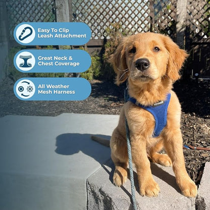 Best Pet Supplies Voyager Step-in Air All Weather Mesh Harness and Reflective Dog 5ft Leash Combo with Neoprene Handle, for Small, Medium and Large Breed Puppies - Royal Blue, Large