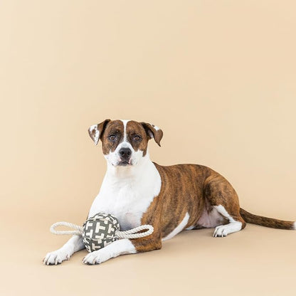 Fringe Studio Pulling You in Odette Olive 3D Canvas Dog Toy with Tuggable Rope, PetShop Collection (523040)