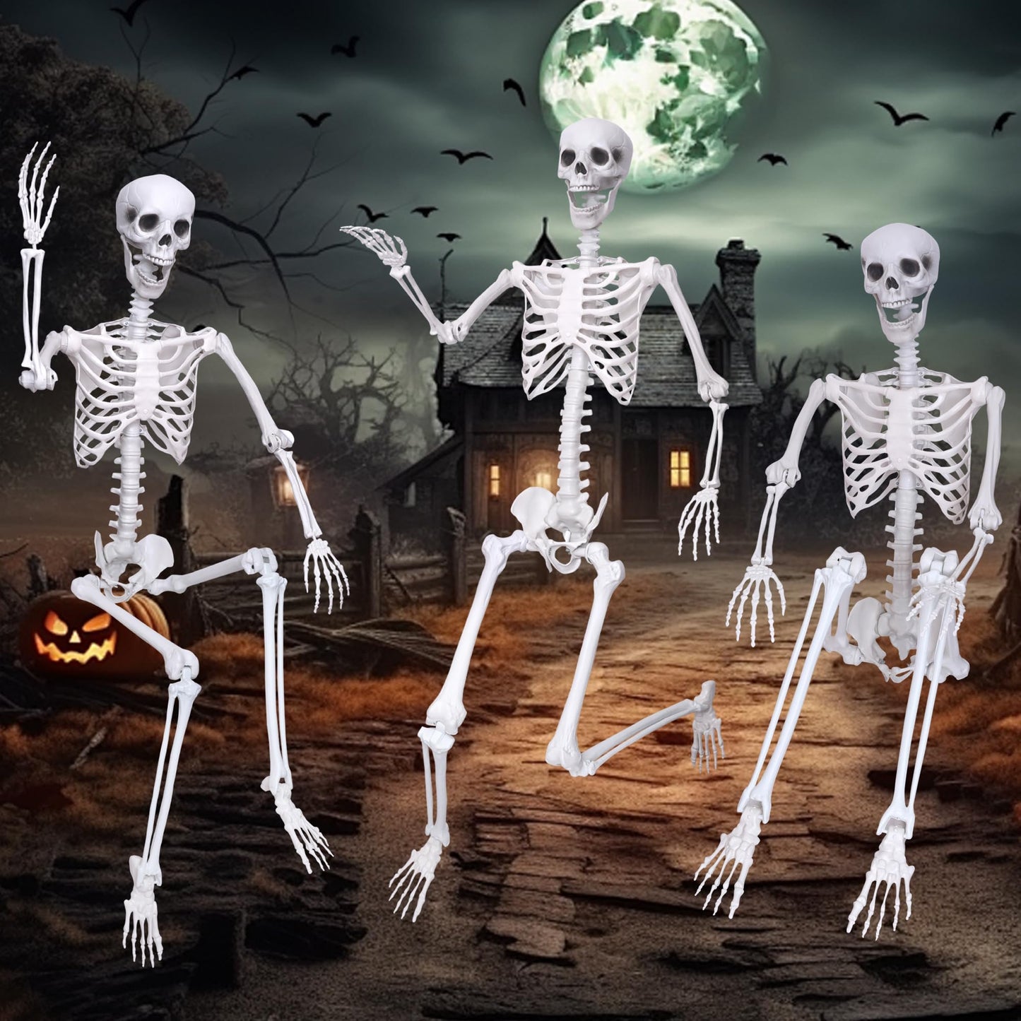 Wocst 6Ft Life Size Skeleton Posable Skeleton with Movable Joints Halloween Full Body Plastic Human Bones with 2PCS Black Crows for Halloween Indoor Outdoor Decor