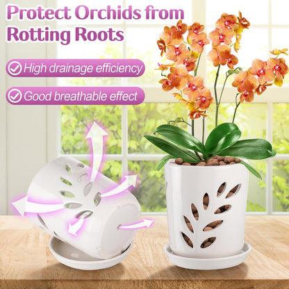 Aulock 4in Ceramic Orchid Pot with Drainage Holes, Decorative Planter, Excellent Airflow for Healthy Roots, for Repotting Indoor