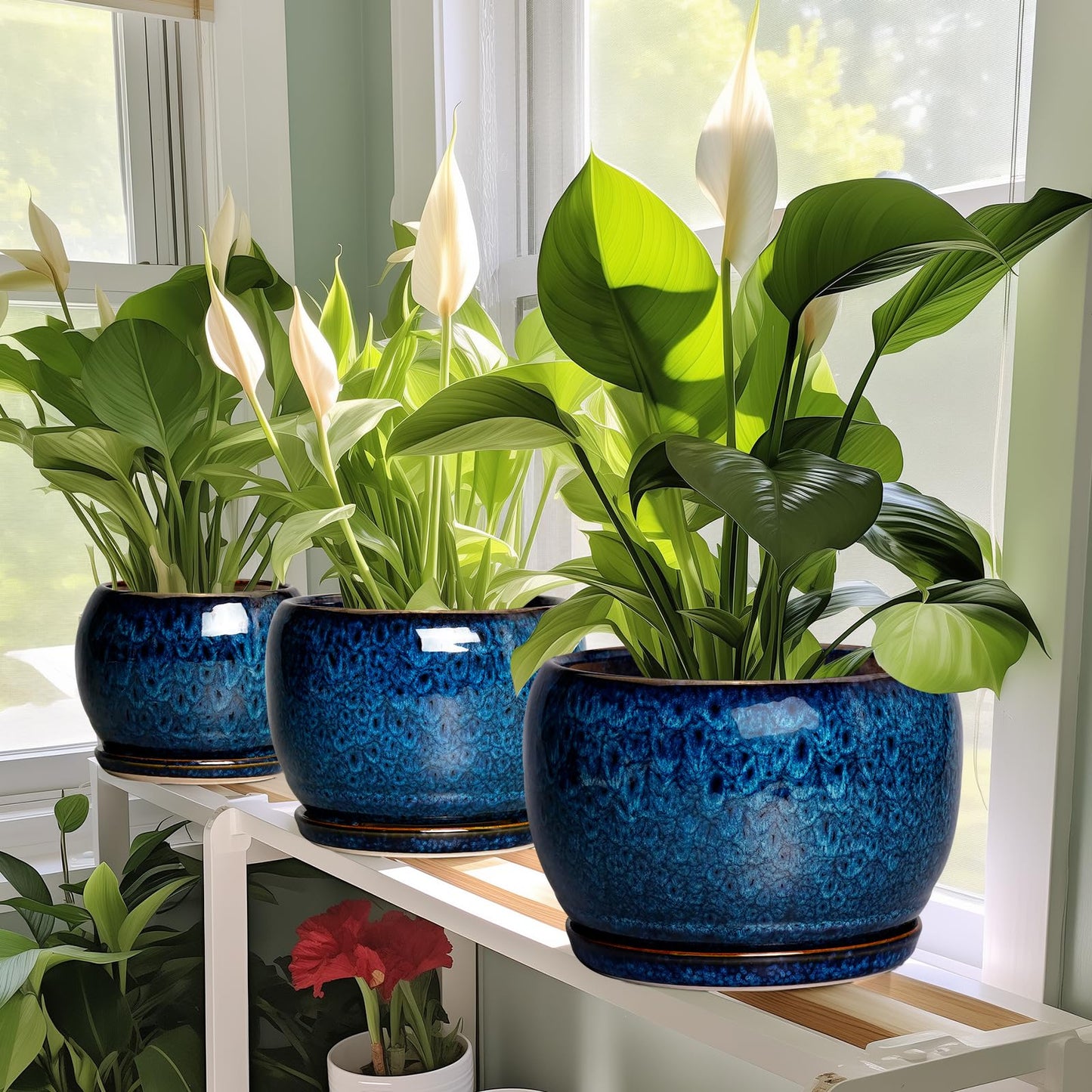 SQOWL 6 Inch Plant Pot - Ceramic Planter Pot with Drainage Hole and Saucer, Succulent Pot Round Flower Pot for Indoor Plants Outdoor, Blue
