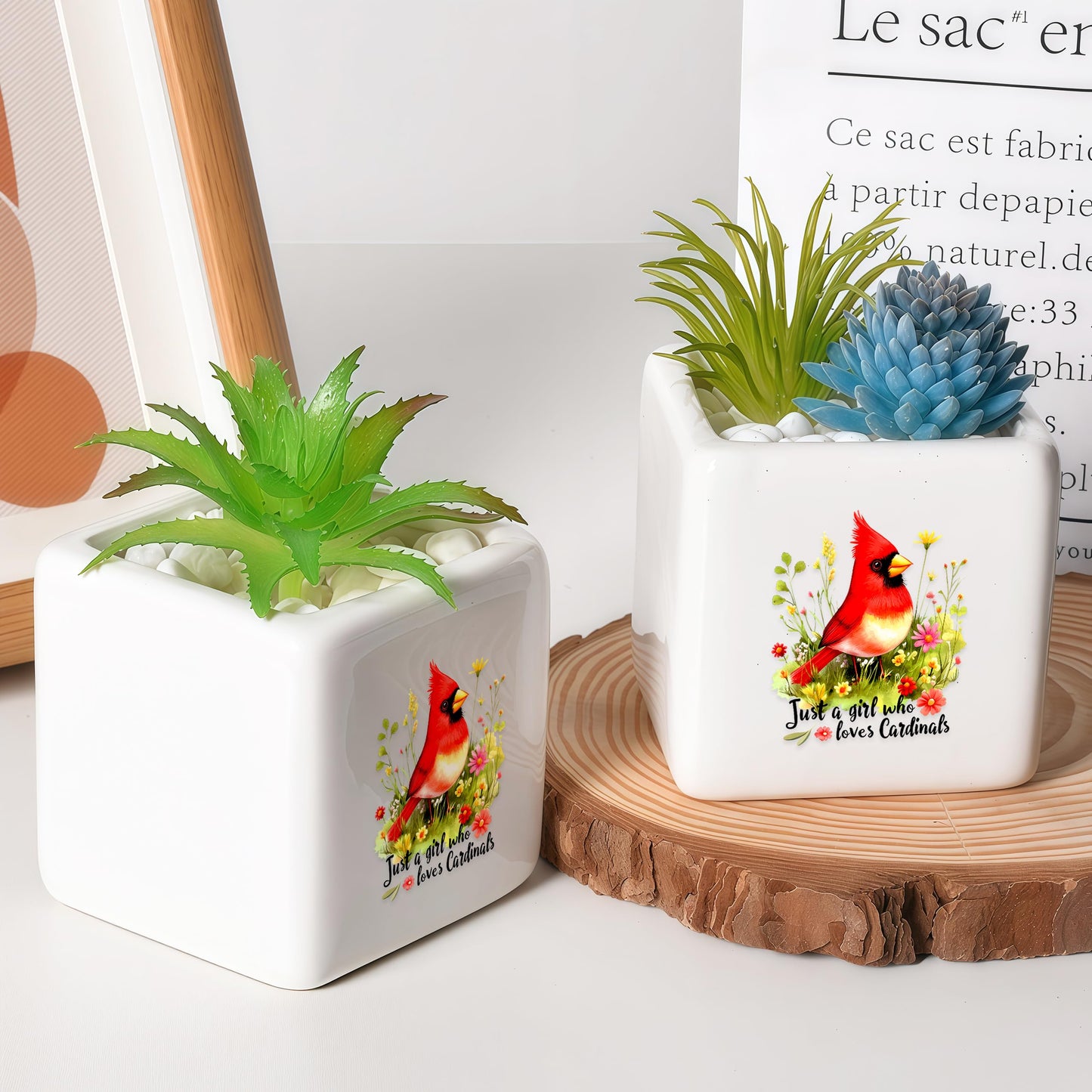 BJDAMAI Cardinal Succulent Planter Flower Plant Pot Small, Gifts for Women Teens Girls Kids, Cardinal Lovers Themed Stuff Accessories Things Decor Merch, Home Office Table Desk Decoration!