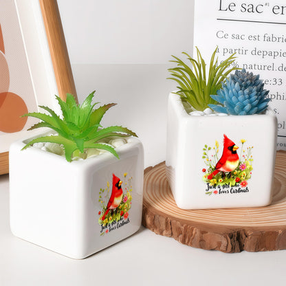 BJDAMAI Cardinal Succulent Planter Flower Plant Pot Small, Gifts for Women Teens Girls Kids, Cardinal Lovers Themed Stuff Accessories Things Decor Merch, Home Office Table Desk Decoration!