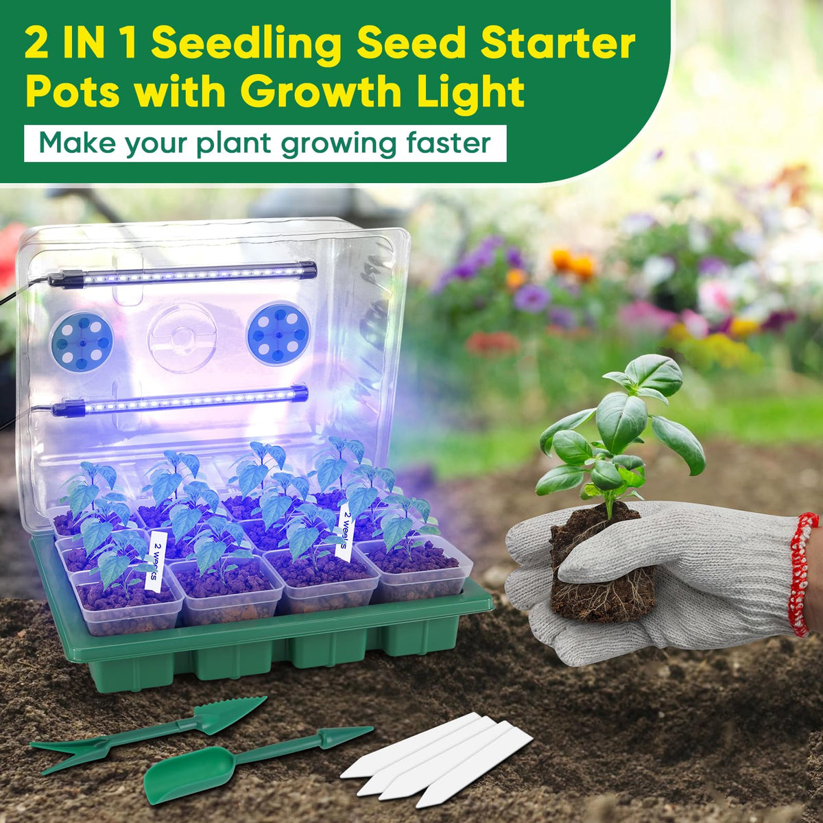 BlumWay Seed Starter Tray with Grow Light,24 Pack 2.9 inch Reuseable Clear Nursery Pots with Silicone Base/Humidity Dome for Deep-Rooted Seedlings,Adjustable Timed Light Plant Starter Set