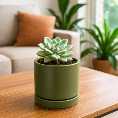 D'vine Dev Set of 2 Plants Pots, 4.7 Inch Ceramic Planter Pot for Plants with Drainage Hole and Saucer, Olive, 94-V-B-J