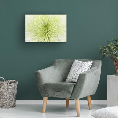 Wrapped Canvas Wall Art - Cora Niele 'Lime Light Spider Mum' Wall Art for Living Room, Bedroom, or Office Décor - 12x19