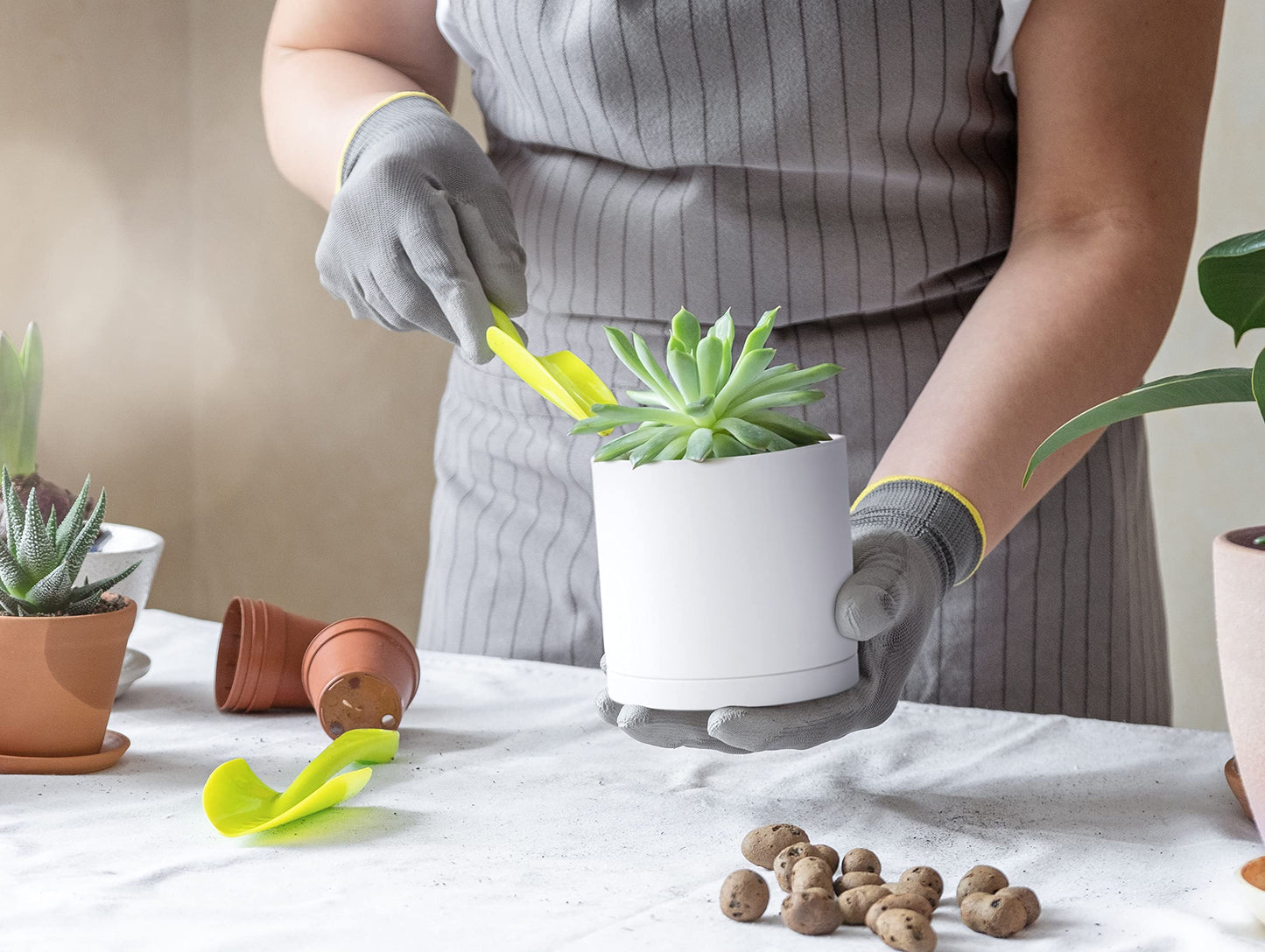 D'vine Dev Pack of 10 Plastic Plant Pots (2 Set of 6 Inch, 5.5 Inch, 5 Inch, 4.5 Inch, 4 Inch) Small Planter Pots for Plant with Drainage Holes and Saucers, White, 74-R-A