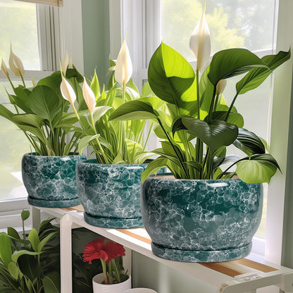 SQOWL Ceramic Pot for Plants - 6 Inch Ceramic Planter with Drainage Hole and Saucer, Round Flower Pot for Indoor Outdoor, Decorative Small Planter, Room Home Decor, Plant Lover Gifts, Green
