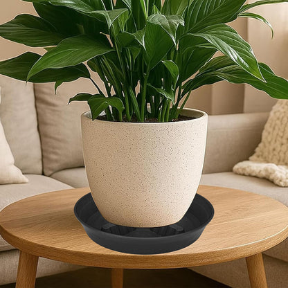 Feyvdzv 4 Pack Plant Saucer 8 inch, 10 12 14 17 inch, Plant Stand Plastic Plant Saucers for Indoors Outdoor, Heavy Duty Flower Planter Drip Trays for Pots, Pot Saucers for Plants, Grow Bags Saucers