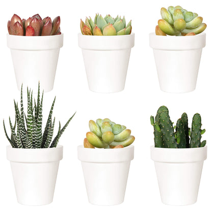 Youngever 10 Pack 3 Inch Mini Plastic Planters Indoor Flower Plant Pots, White Gardening Pot with Drainage for All House Plants, Flowers, Herbs, Succulents, NO Plant Included (Classic)