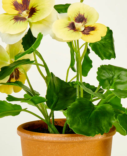 Worth Imports 10" Yellow Pansy in 4" Pot