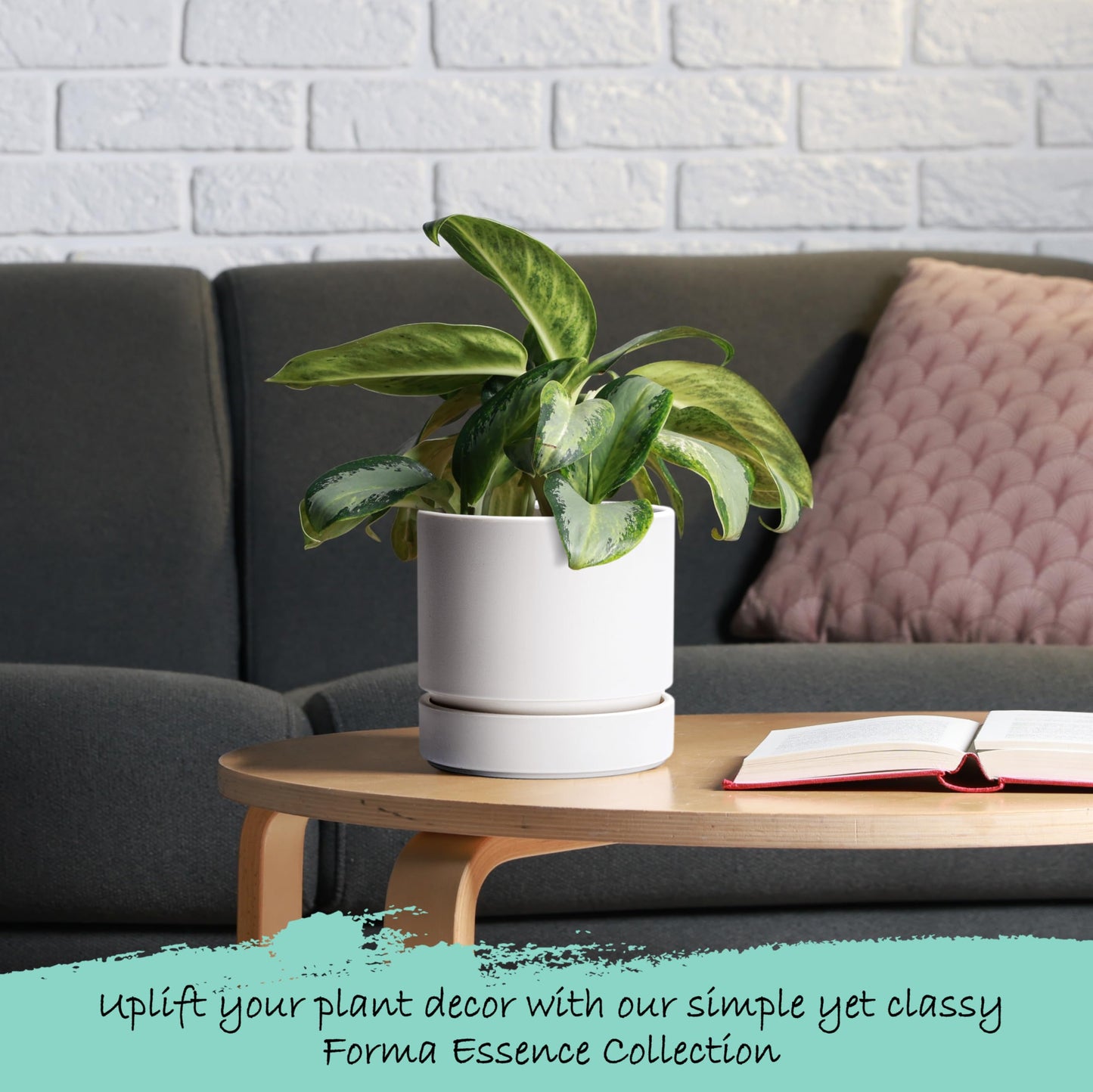 6 Inch Modern Plastic Round Pots for Indoor Houseplants and Herbs, Pack of 3 Planter Pot with Drainage Hole & Saucer, Deep Water Catch Tray, Straight Cylindrical Pot for Plants, Matte White, 23-D-S-1