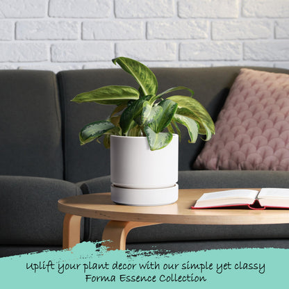 6 Inch Modern Plastic Round Pots for Indoor Houseplants and Herbs, Pack of 3 Planter Pot with Drainage Hole & Saucer, Deep Water Catch Tray, Straight Cylindrical Pot for Plants, Matte White, 23-D-S-1