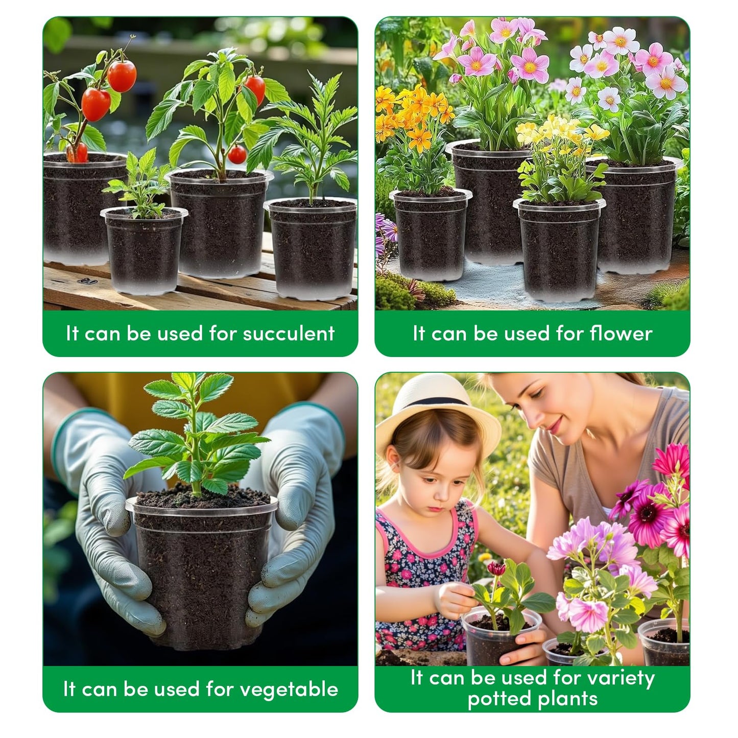 60 Pack Clear Nursery Pots with Drainage Holes, 3.5/4/5/6/7 Inch Clear Plastic Pots for Plants, Reinforced Transparent Nursery Pot with 60 Colorful Plant Labels 2 Garden Tools