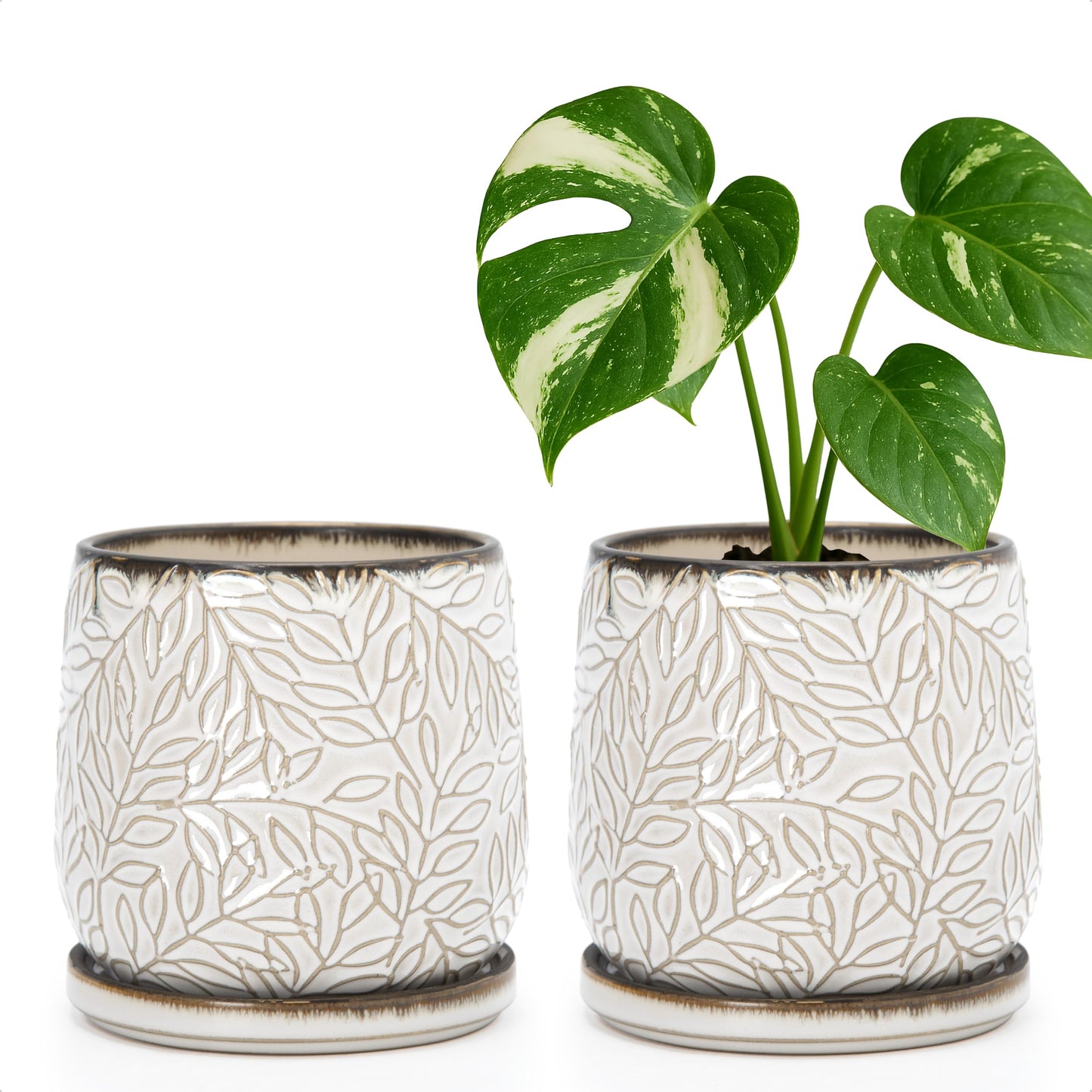 D'vine Dev 5 Inch Embossed Leaves Stoneware Planter Pot with Drainage Hole and Saucer, Smoked White, Set of 2, 27-F-V-1