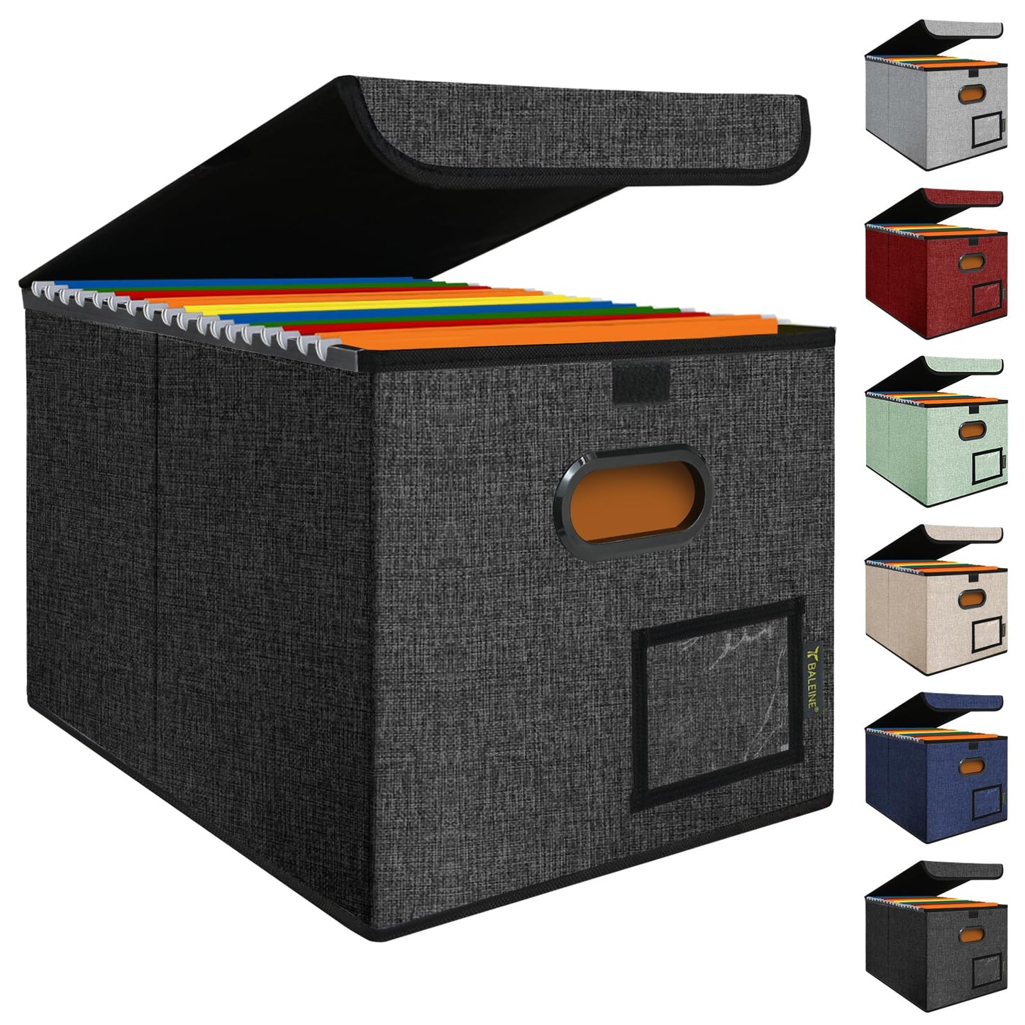 BALEINE File Organizer Box with Lid + Fireproof Document Bag with Lock