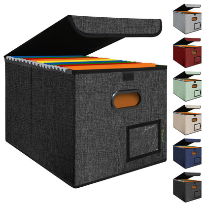 BALEINE File Organizer Box with Lid + Fireproof Document Bag with Lock