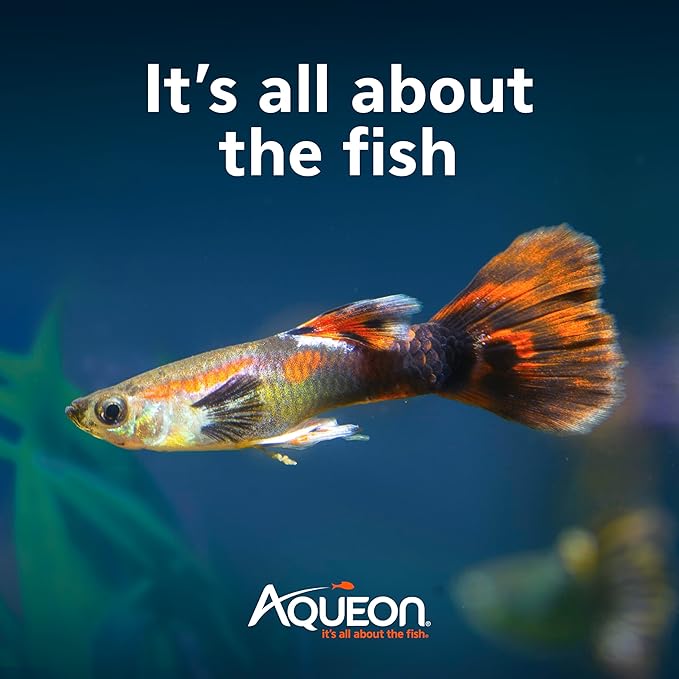 Aqueon QuietFlow Internal Filter with SmartClean Technology, Small