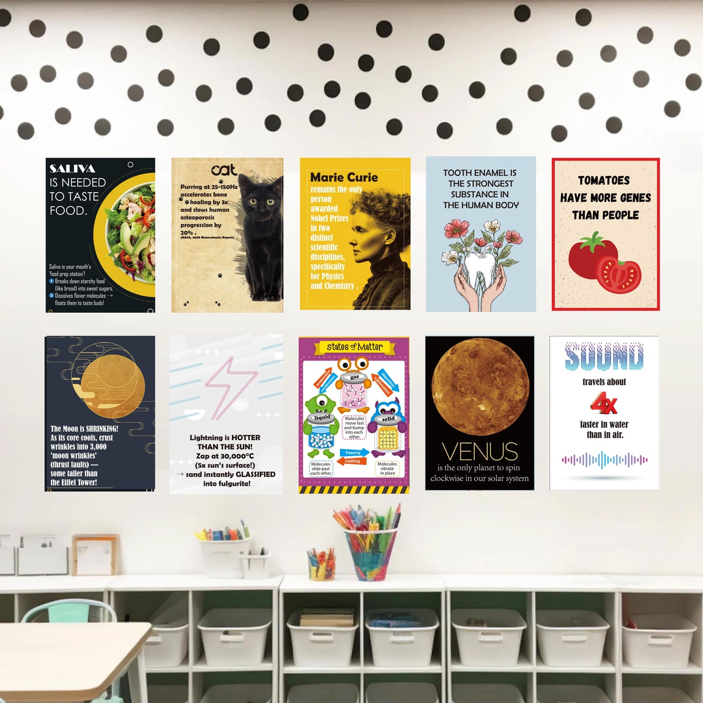 Magictodoor Weird Science Funny Fact Posters - 52 Classroom Decor Set for Bulletin Board & STEM Education