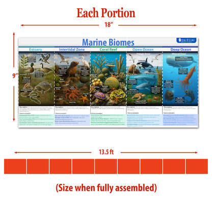 Earths Habitats ecosystem Line bulletin board set, 9 charts pack Glossy Paper (9"x18") Young N Refined