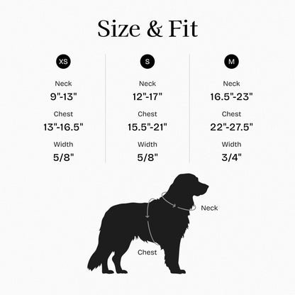 Fei & Eve Moxie H-Shape Dog Harness | Ultra-Lightweight | 3-Leash System for No-Pull Control | Easy On-Off | Adjustable 210D Breathable Nylon | Soft Padded Lining, Black, XS