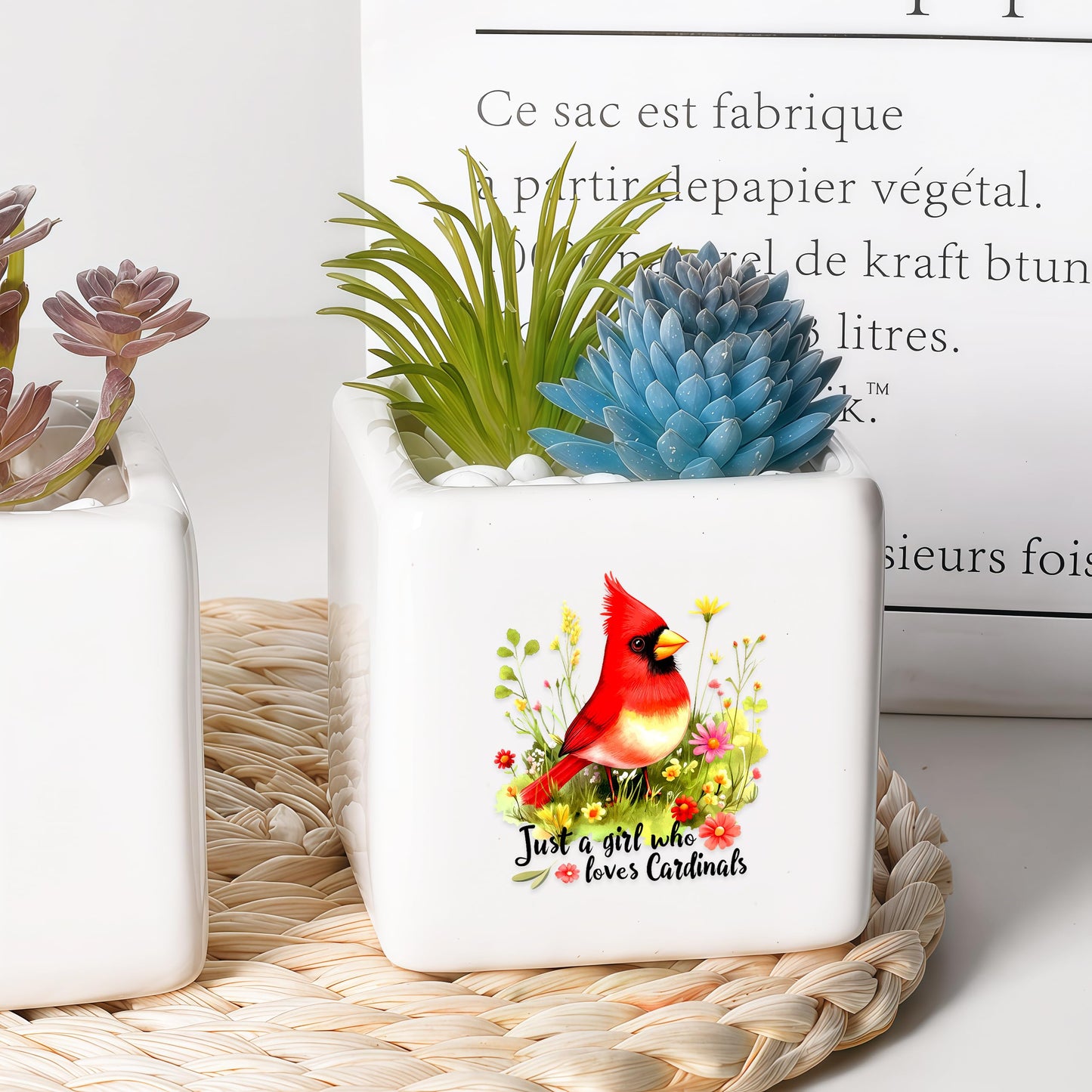 BJDAMAI Cardinal Succulent Planter Flower Plant Pot Small, Gifts for Women Teens Girls Kids, Cardinal Lovers Themed Stuff Accessories Things Decor Merch, Home Office Table Desk Decoration!