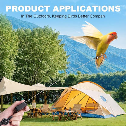 Bird Leash, with 5 Different Size Foot Ring and Feeder Box, Retractable Anti-Bite Parrot Harness, Bird Flight Training Rope for Budgies,Cockatiels,Psittacula Longicauda,Mini Macaws (13.12Ft)