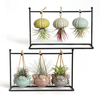 Gniliny 8 Pack Ceramic Air Plant Cradle with Rack: Indoor/Outdoor Hanging Planters - Air Plant Display Container for Home Office Garden