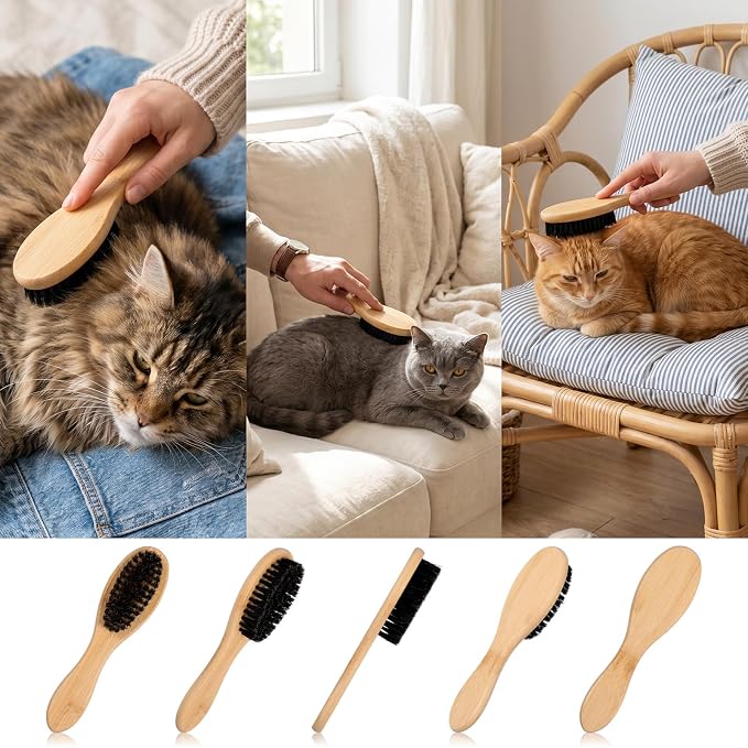 YUXIANLB Boar Bristle Pet Brush with Wood Handle, Soft Brush for Short Hair | Soft Cat and Dog Daily Grooming Tool for Short Hair Cats Small Dogs Gentle Massage Dandruff Removal