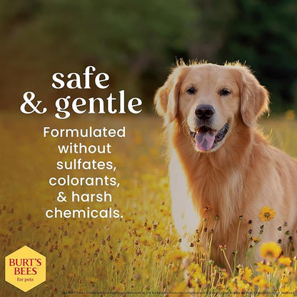 BURT'S BEES FOR PETS Itch Soothing Shampoo with Honeysuckle, 6pk, 95% Natural Origin Formulas, Dog Shampoo for Itchy Dogs, Dog Shampoo Itchy Skin Relief, 6pk, 16 oz