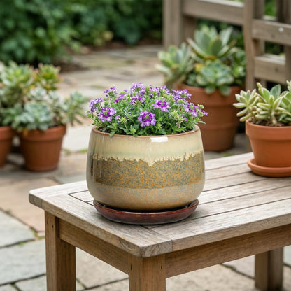 Fivepot 6 Inch Plant Pot - Ceramic Pots for Indoor Plants, Round Small Succulent Planter with Drainage and Saucer, Decorative Flower Pot, Office Room Decor, Gifts for Plant Lovers, Brown-Beige