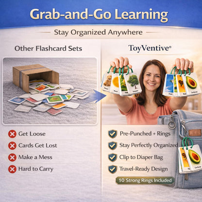 250 Thick & Sturdy Learning Flashcards for Toddlers 1-3 with Rings - Alphabet Flash Cards & Sight Words for Toddlers 2-4 yrs Included - Toddler Flash Cards Ages 2-3