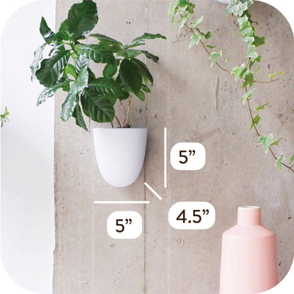 PlantPod Luxe Self-Watering Wall Planters (Set of 3) - Easy to Water and Install - Lightweight - Design Your Own Vertical Garden - Wall Planters for Indoor Plants