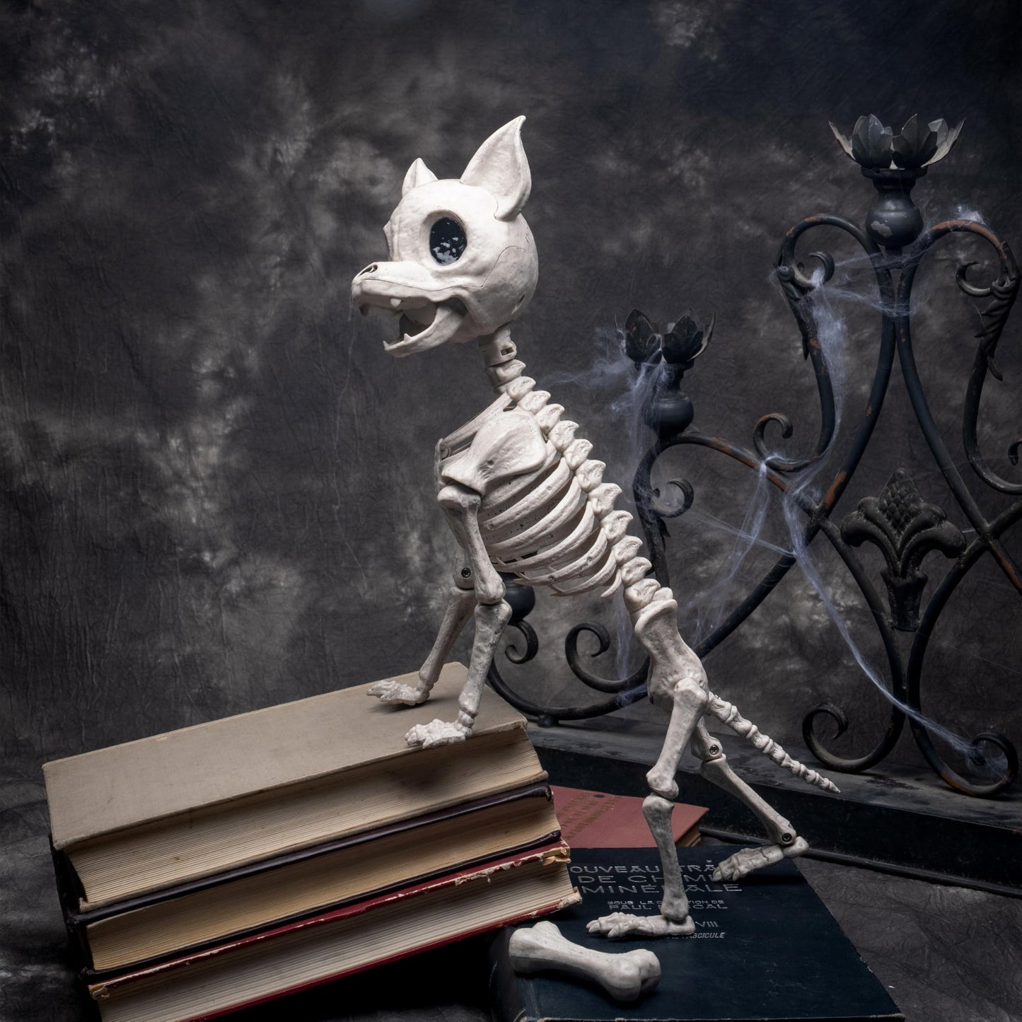 JOYIN Plastic Chihuahua Dog Skeleton Halloween Decorations 12.6 inches Plastic Puppy Bones Skeleton with Posable Joints for Halloween Indoor Outdoor, Graveyard Party Decor